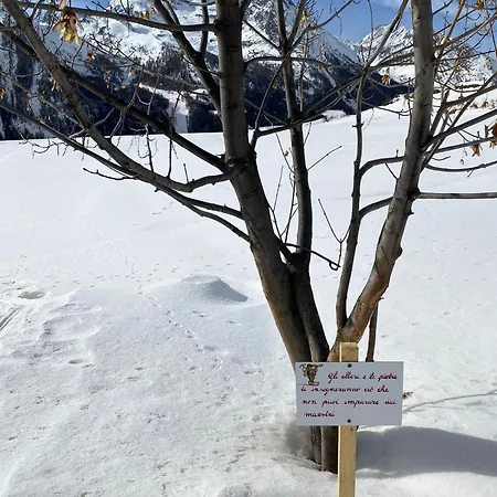 Belvedere Cogne